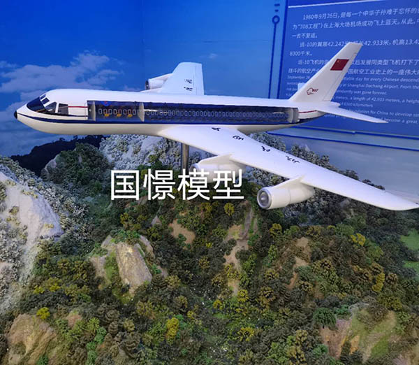 临高县飞机模型